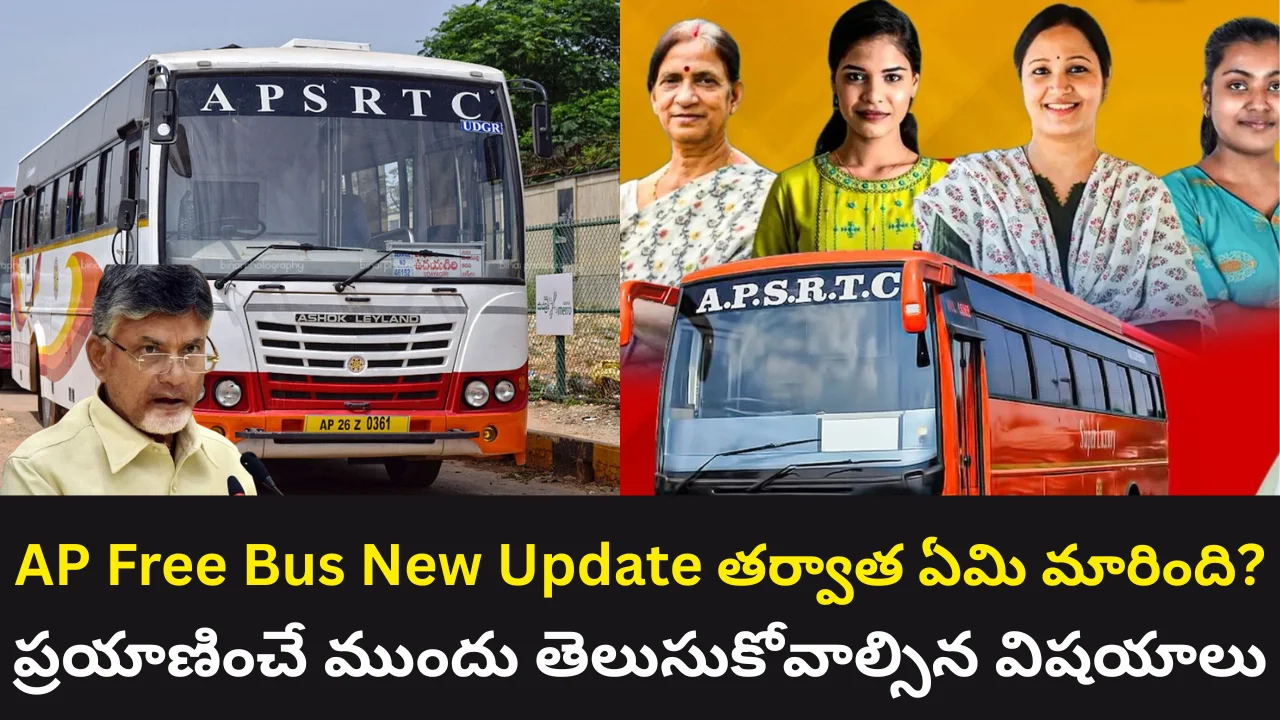 AP Free Bus New Update
