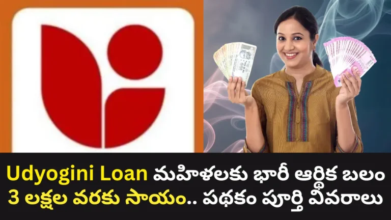Udyogini Loan