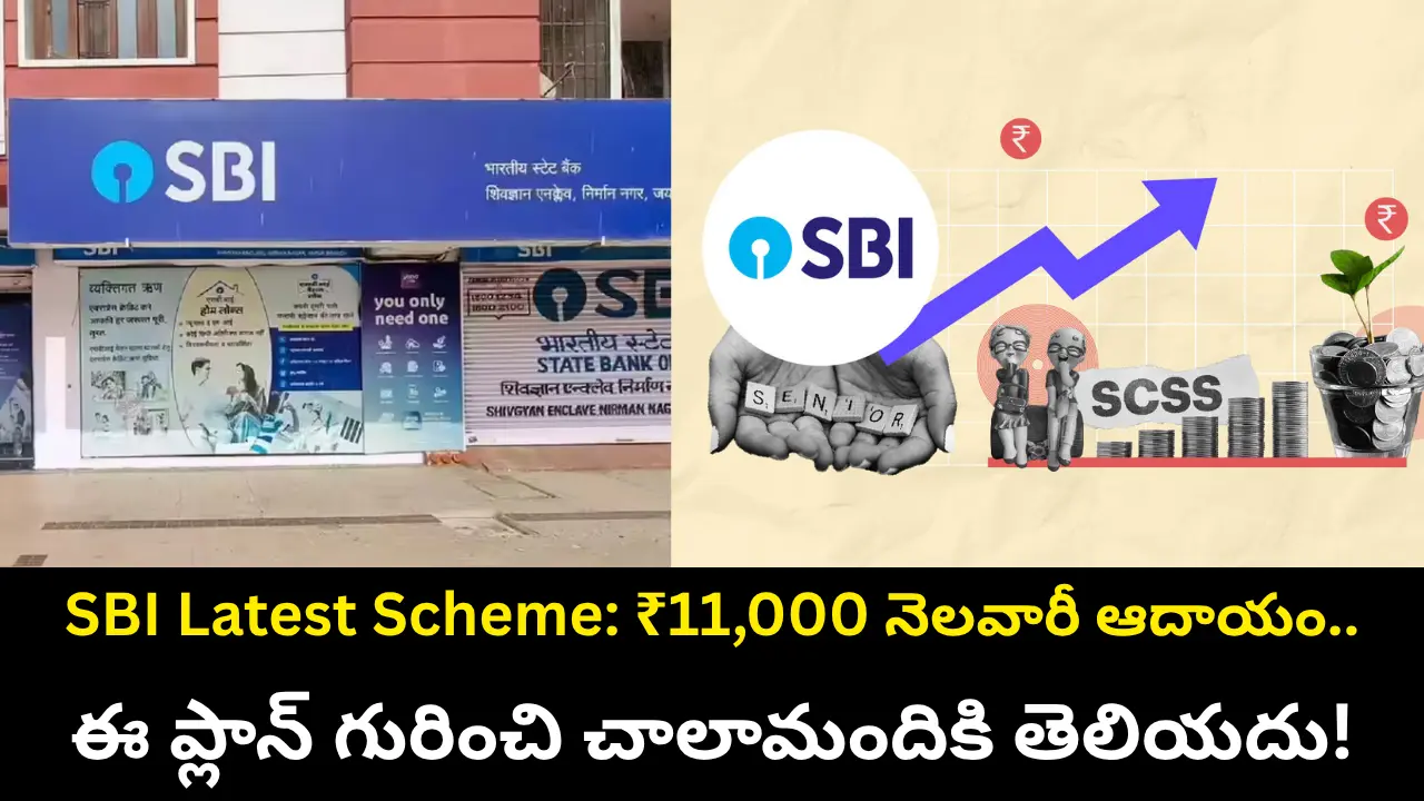 SBI Latest Scheme