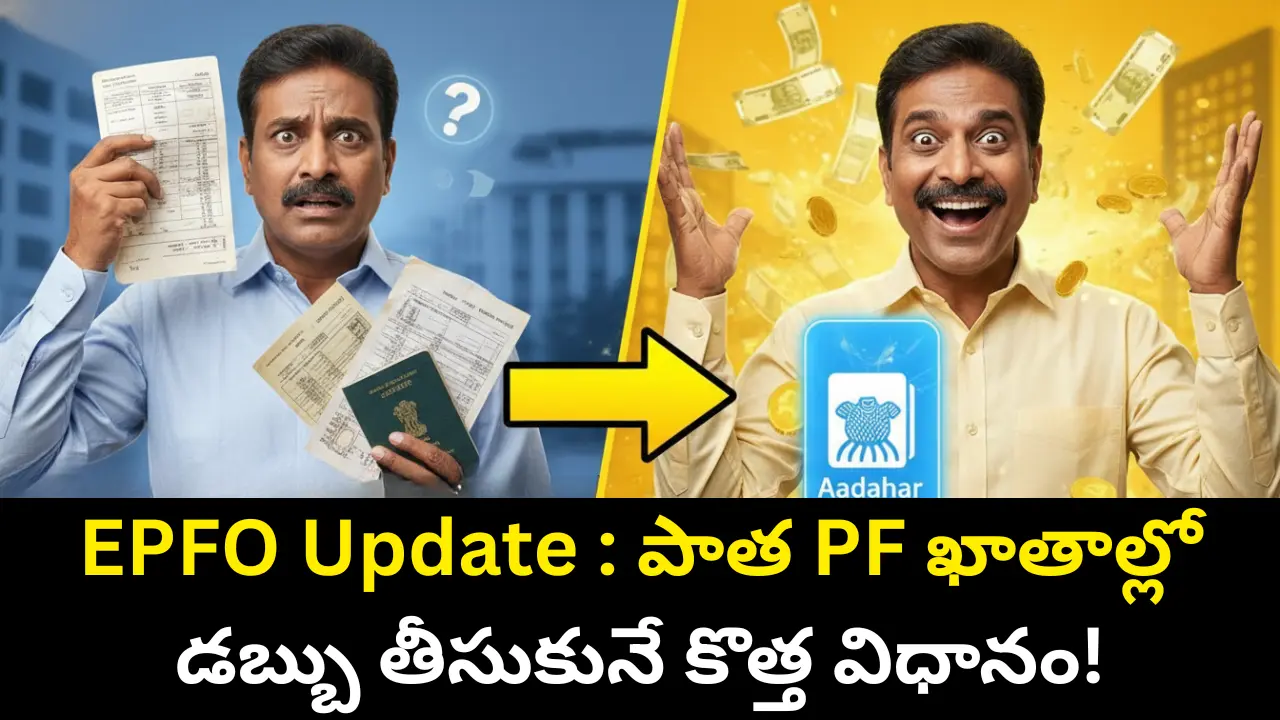 EPFO Update